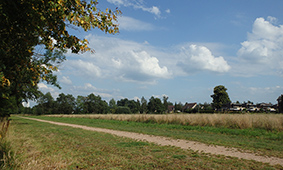 Schraal bloemrijk grasland in de zone van de Koningsbeek is te zien vanaf het wandelpad.